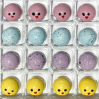 Spring In Your Step Collection 16 piece